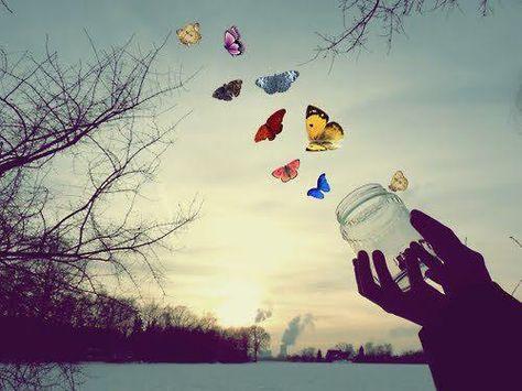 db6a0293d646e1ff38b6a43e11572223_large